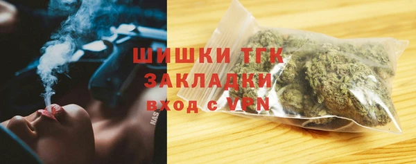прущие грибы Арсеньев