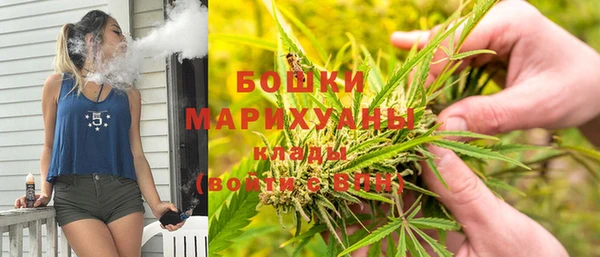 мдпв Семилуки