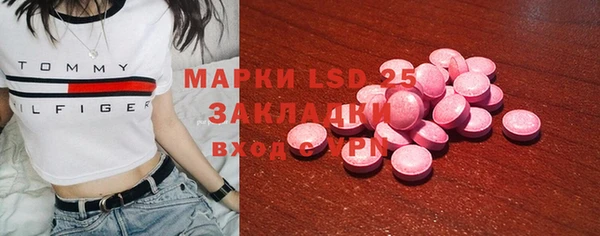 прущие грибы Арсеньев